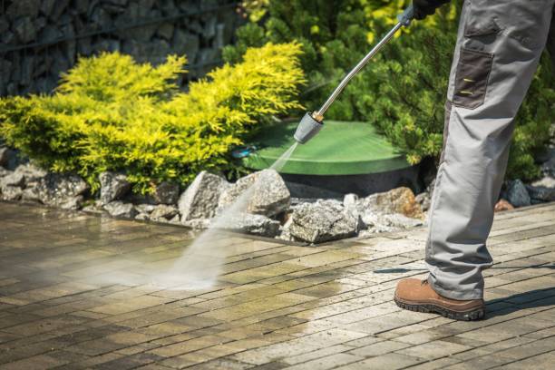 Best Spring Cleaning  in Ore City, TX