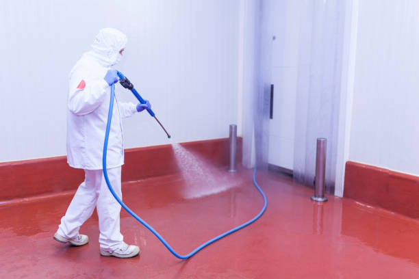 Best Driveway Pressure Washing  in Ore City, TX